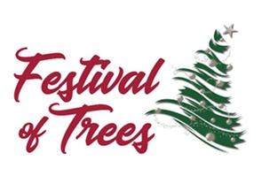 Daviess Community Hospital's Festival of Trees