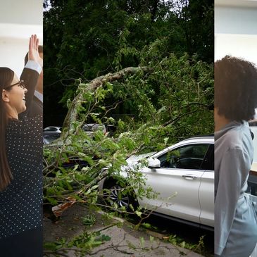 coche siniestrado con un arbol