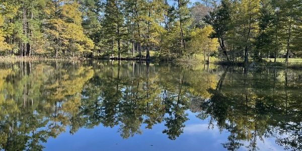 local parks near magnolia texas
