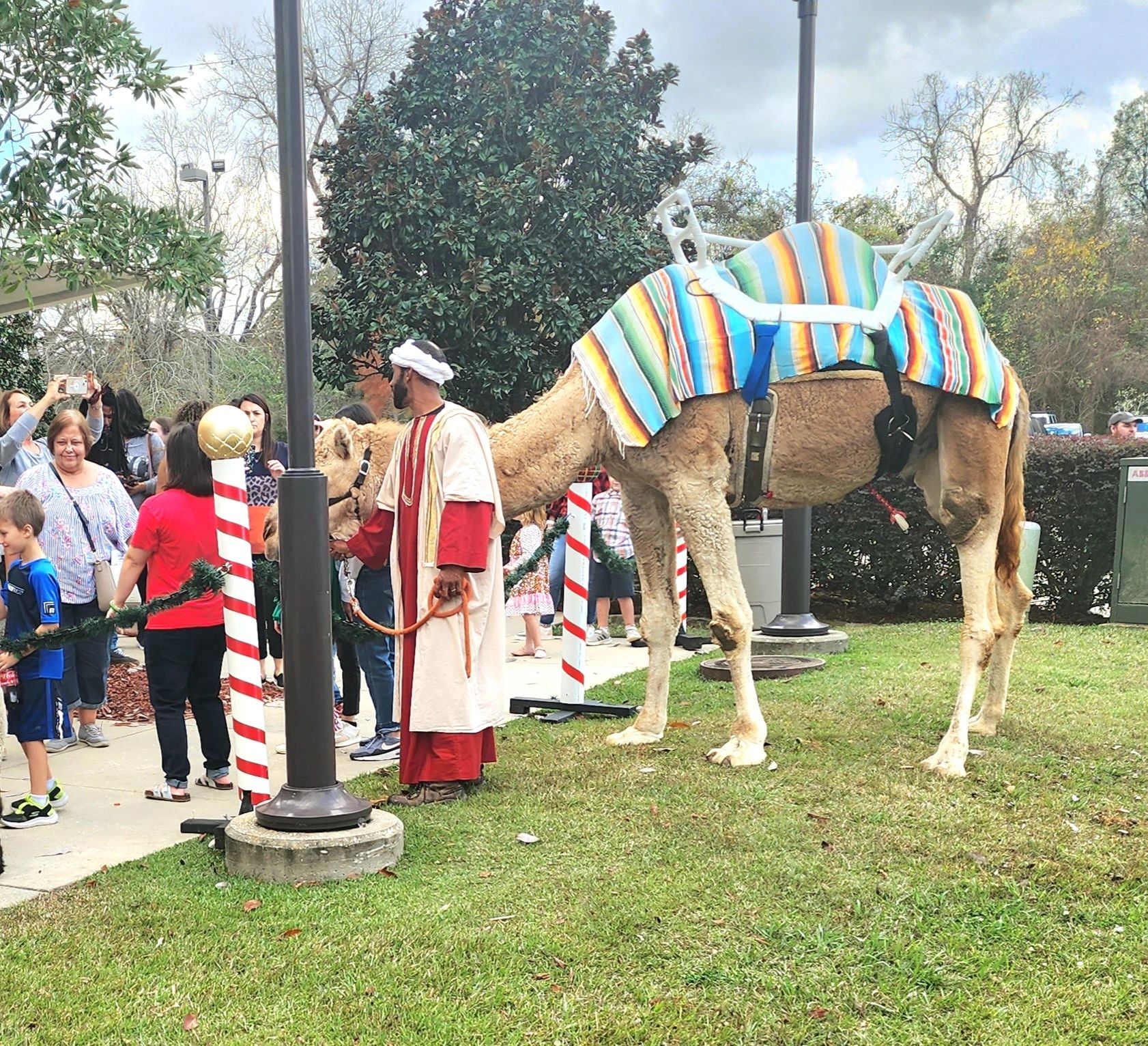 Camel and camel handlers taking photos with patrons at church nativity