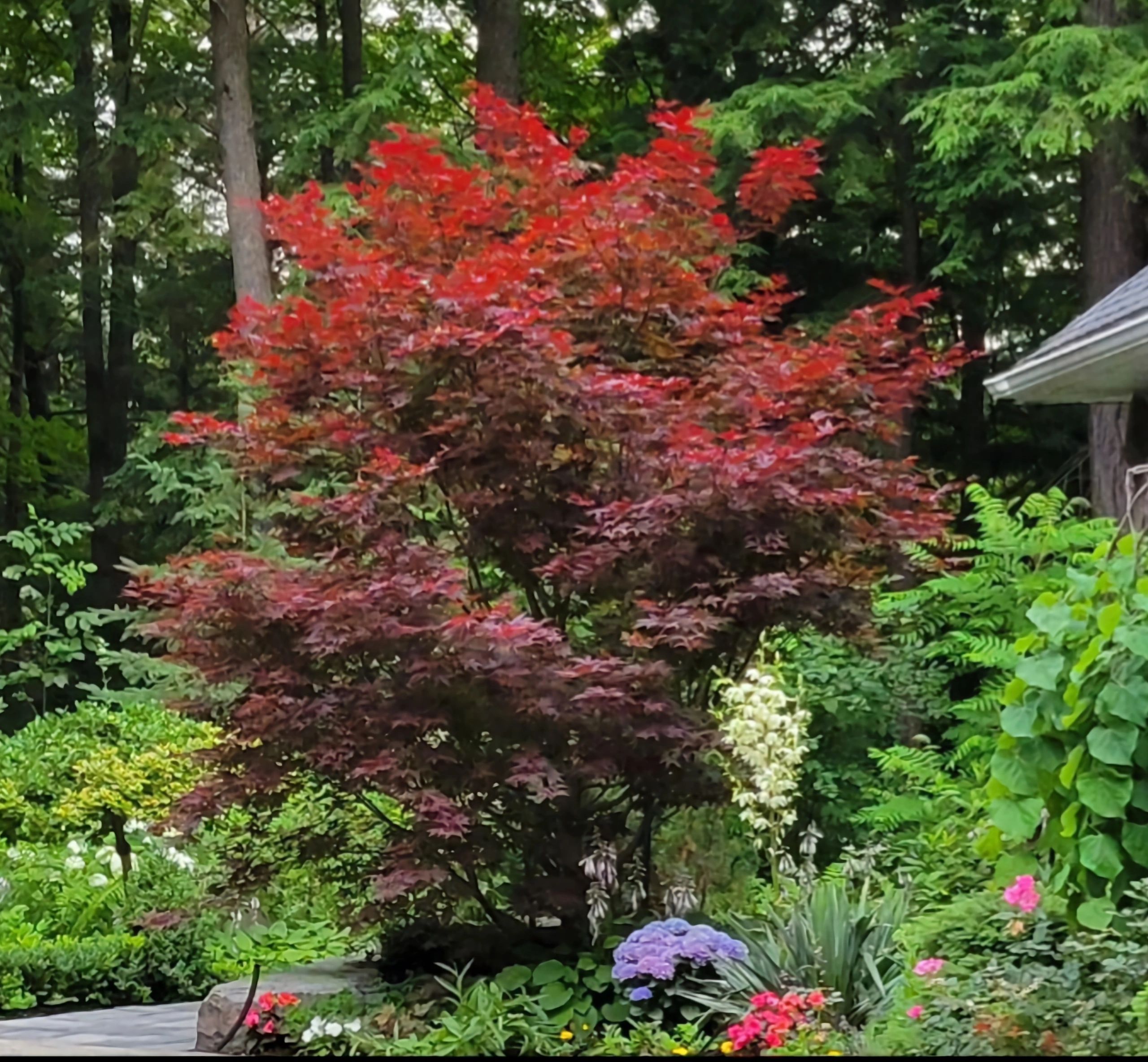 Three Brothers Landscaping Inc.