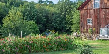 Beautiful Tennessee Home Stead.