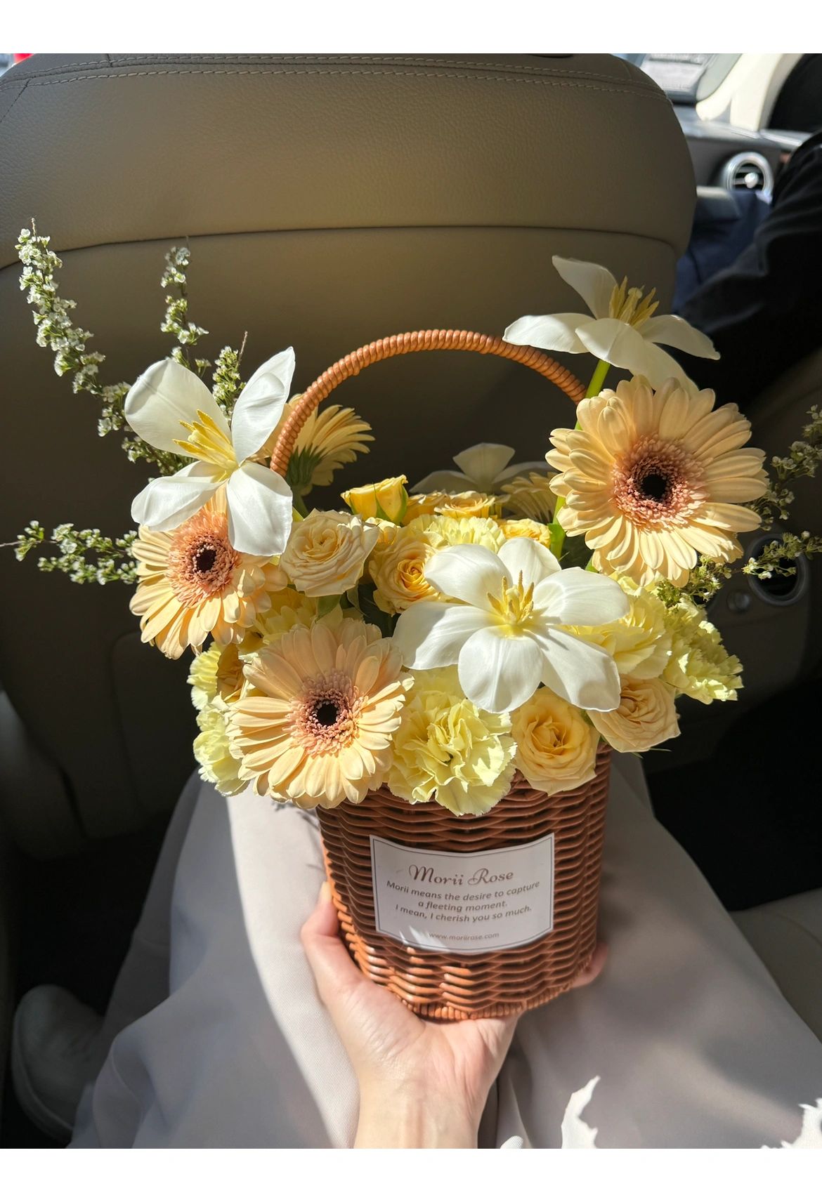 Yellow Series Carry Basket