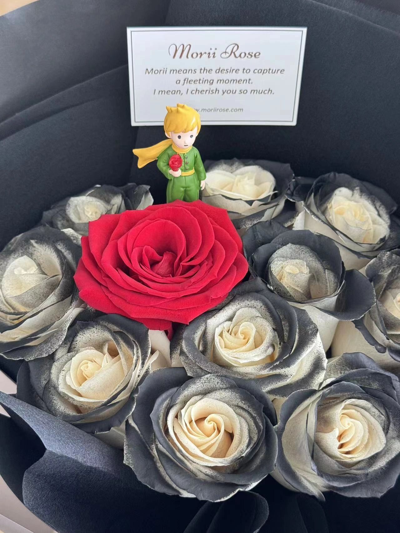 11 Black Knight& Red Rose With Little Prince