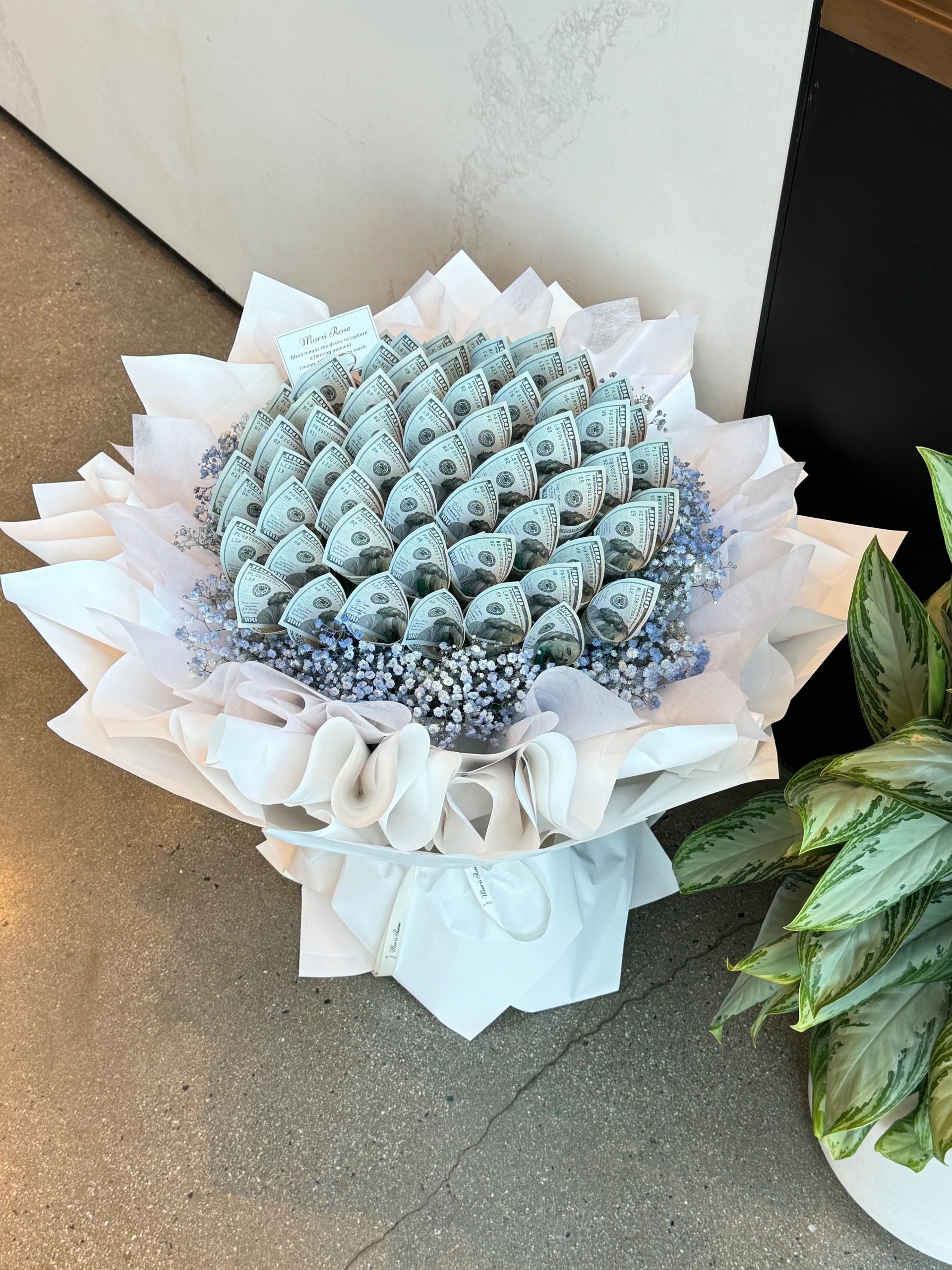 66 Hundred Dollar Bill Bouquet
