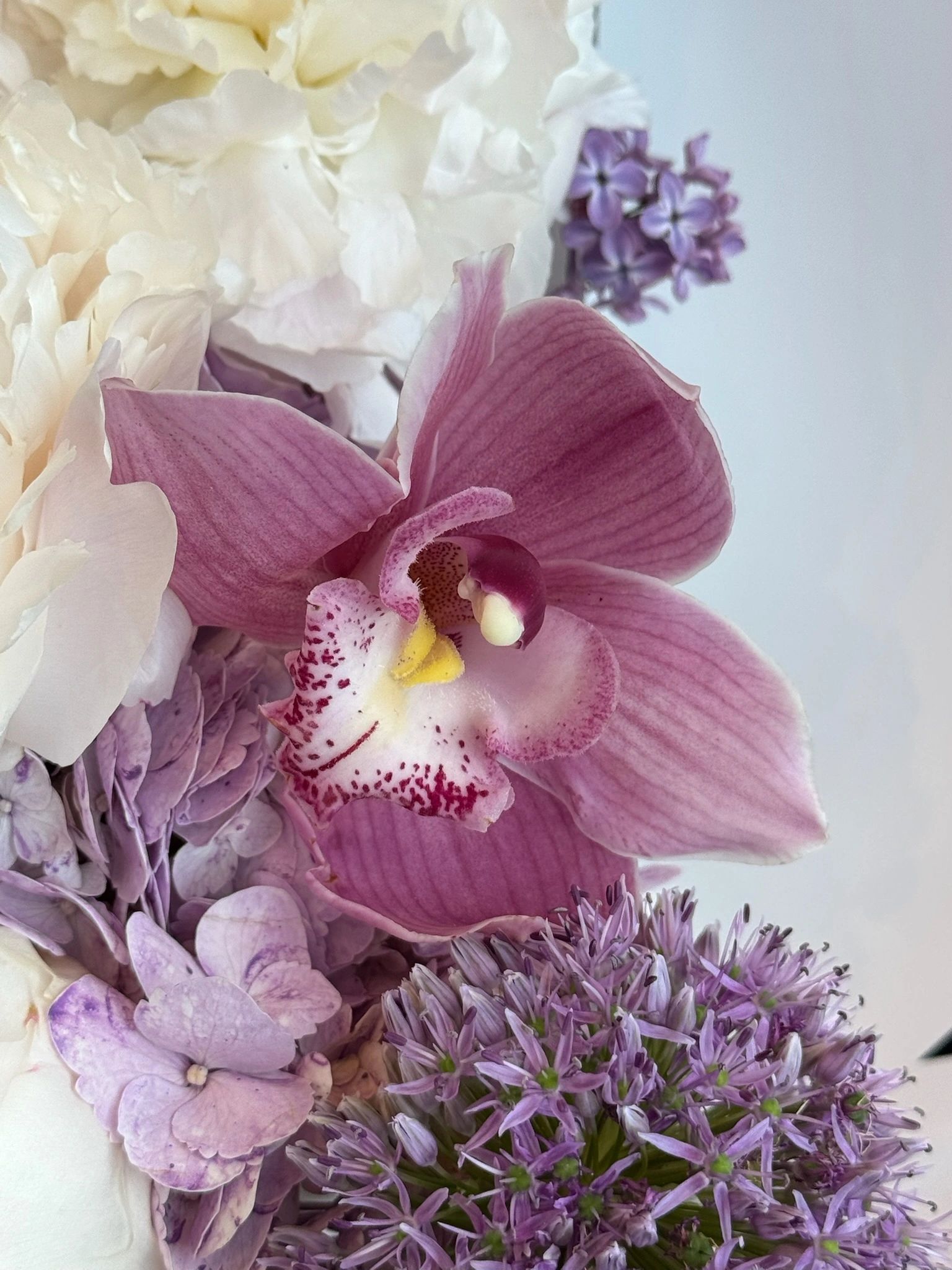 Whispers of Lavender Dreams