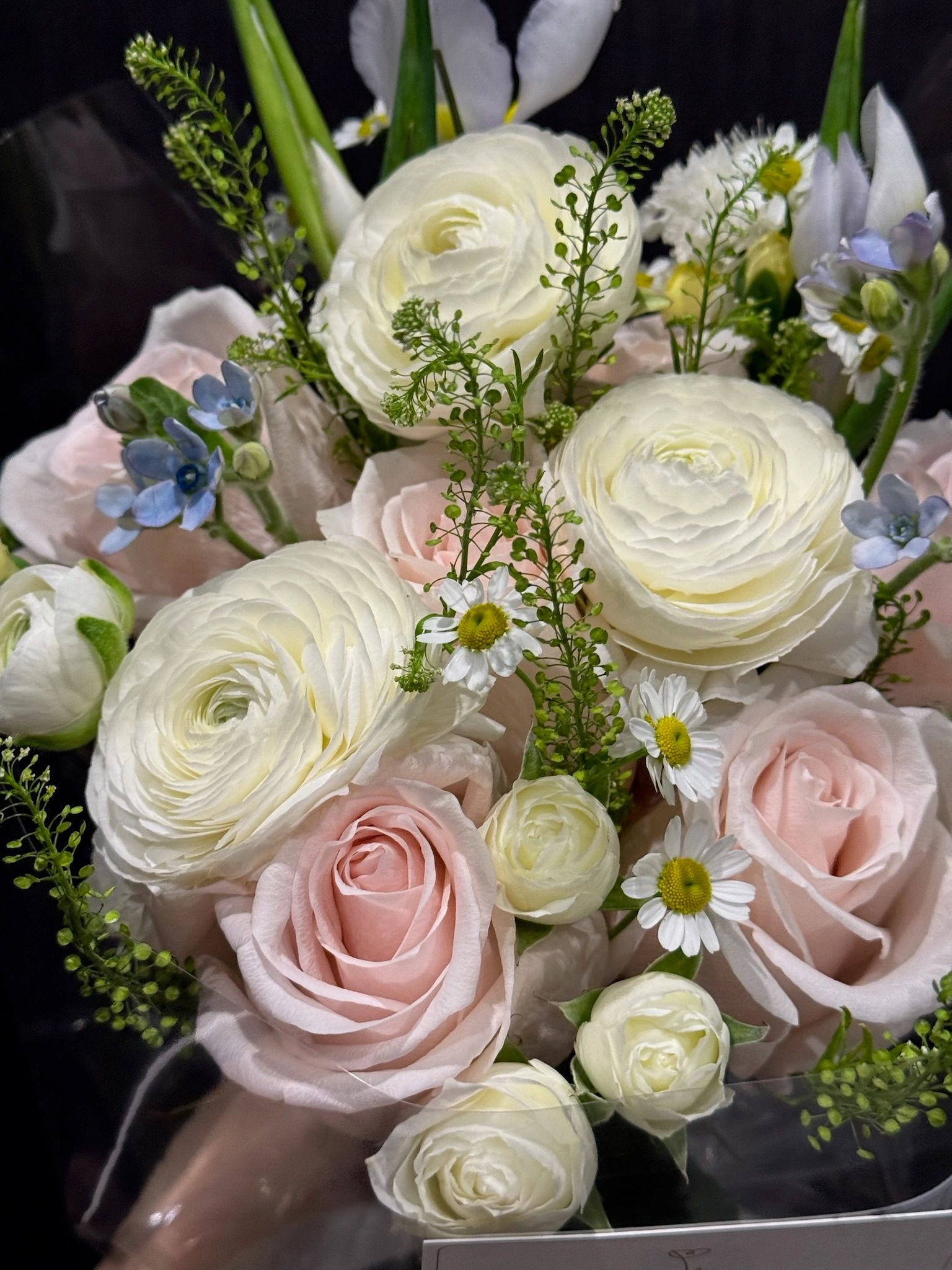 SEREME BLOSSOM