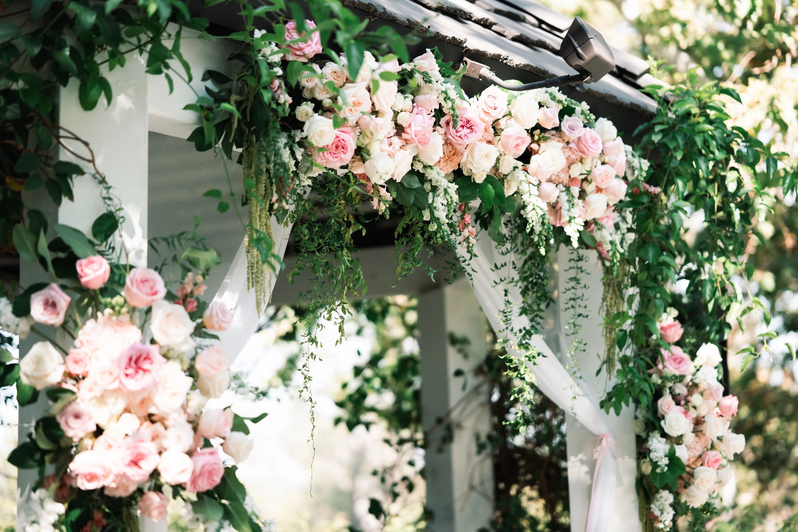 Garden Whispers