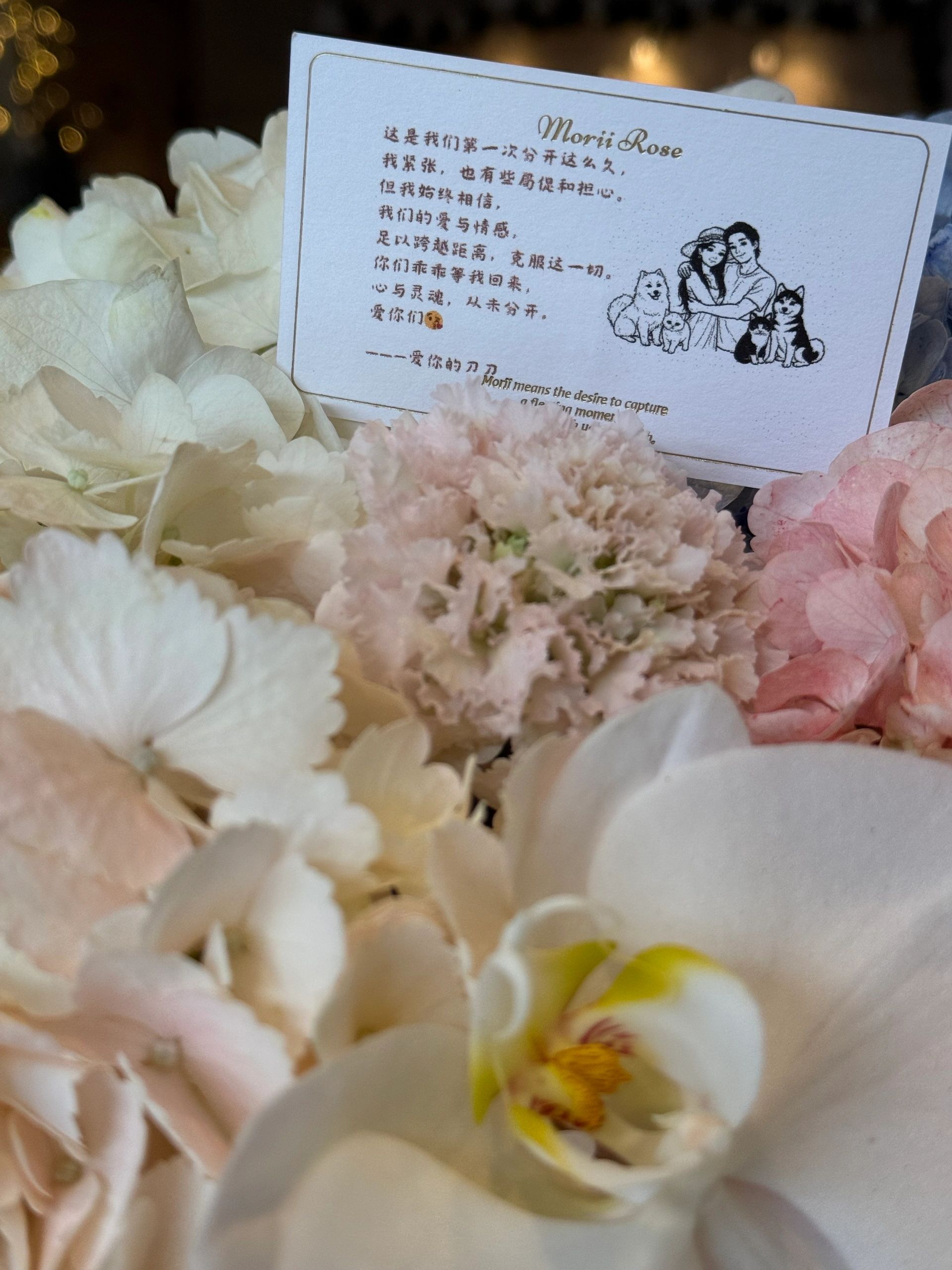 Colorful Hydrangea Basket