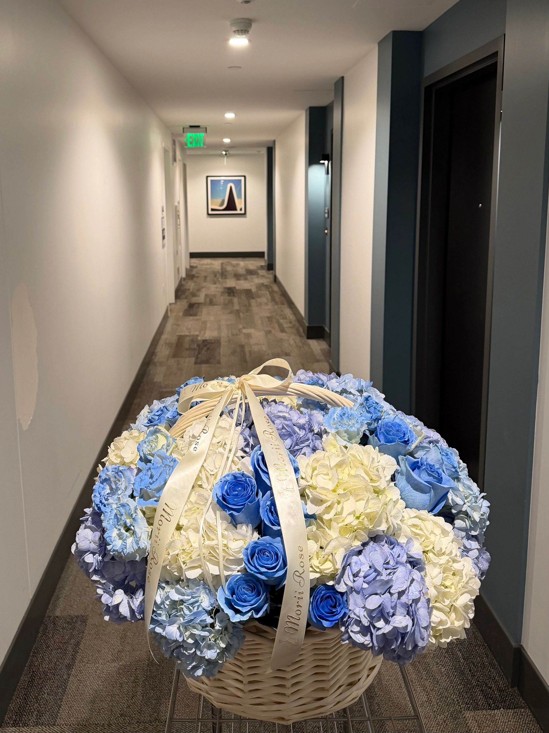 Ecuadorian Blue Rose Hydrangea Basket