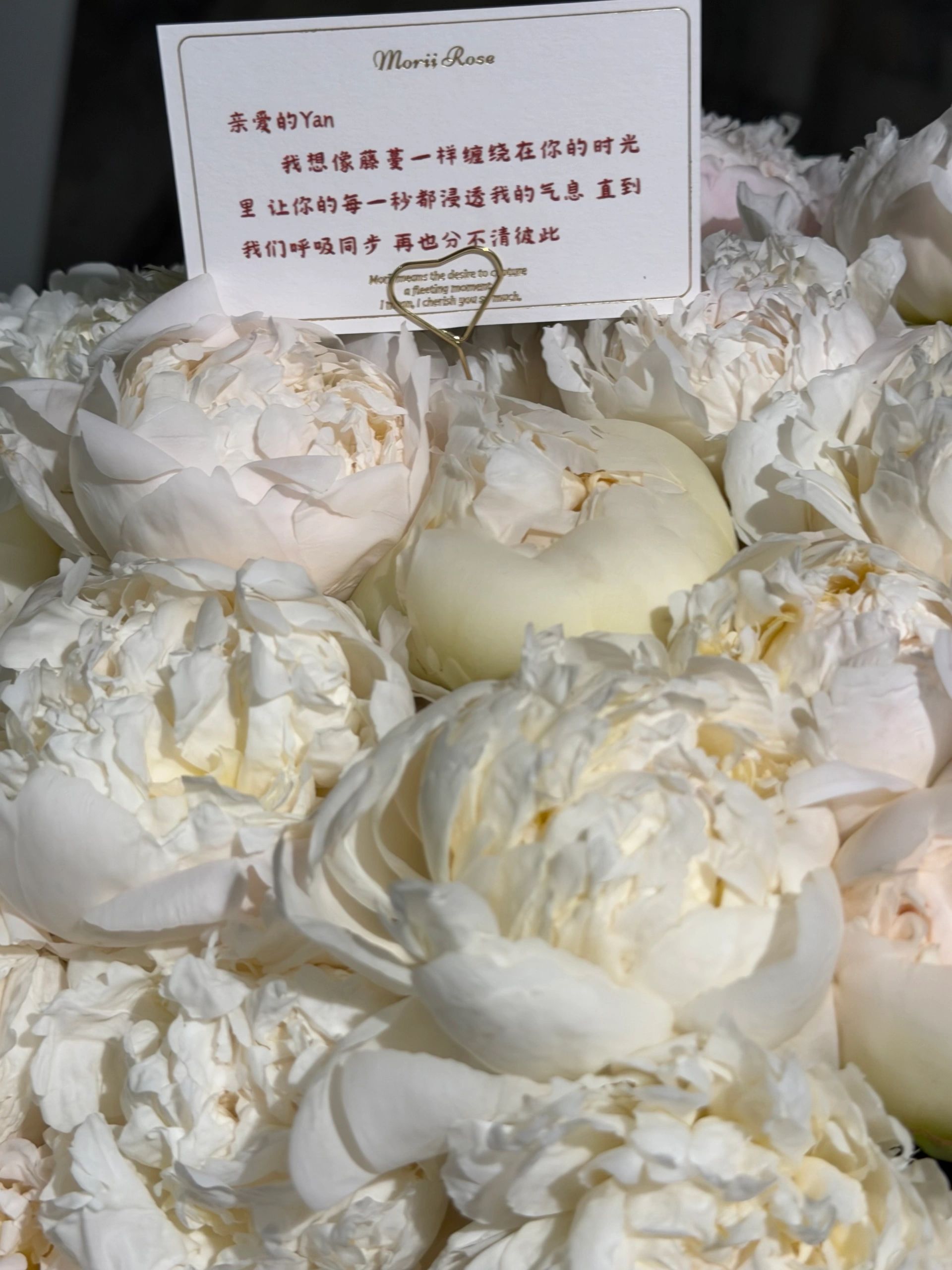 99 White Peony Hug Bucket