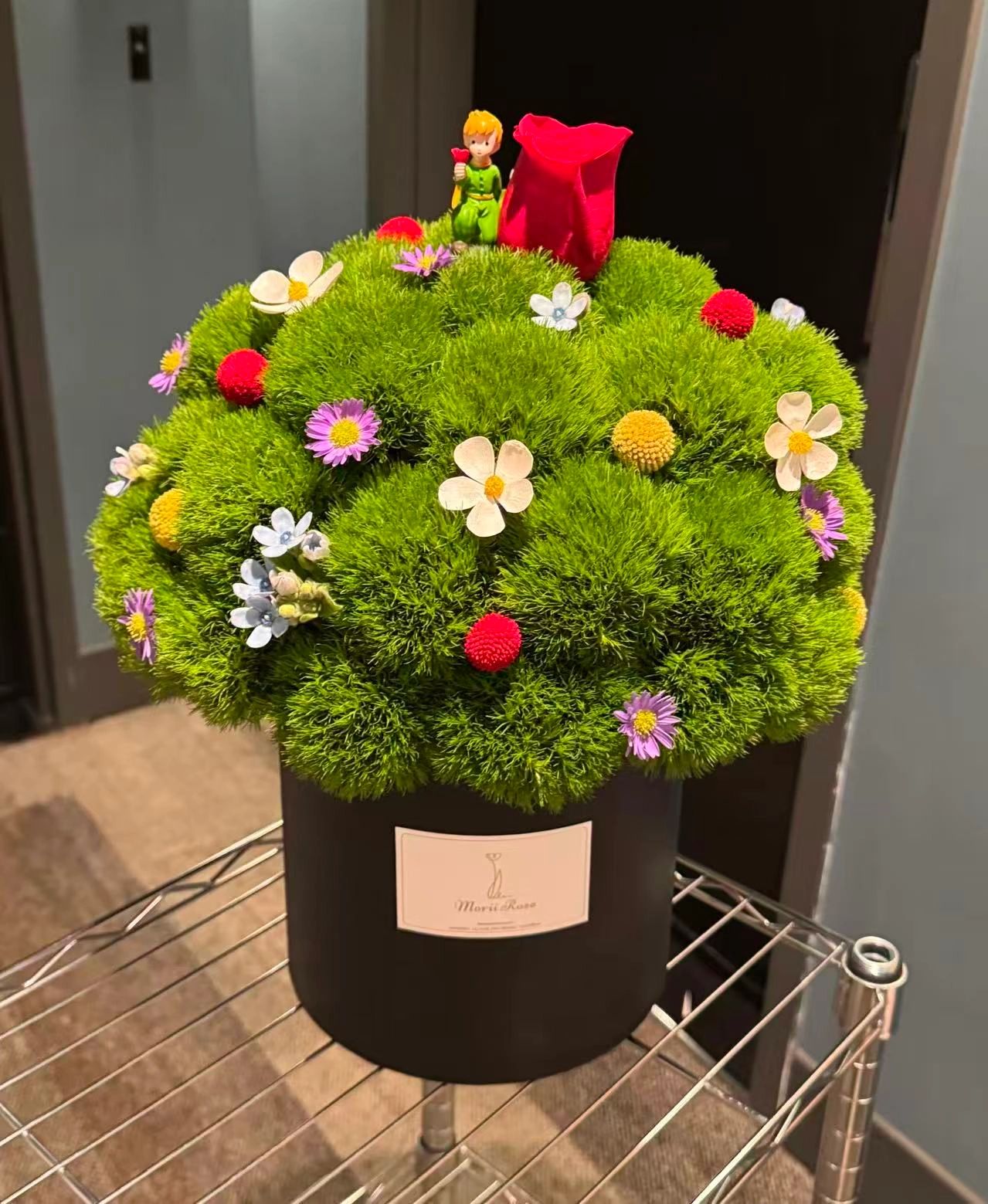 Little Prince Green Planet Hug Bucket