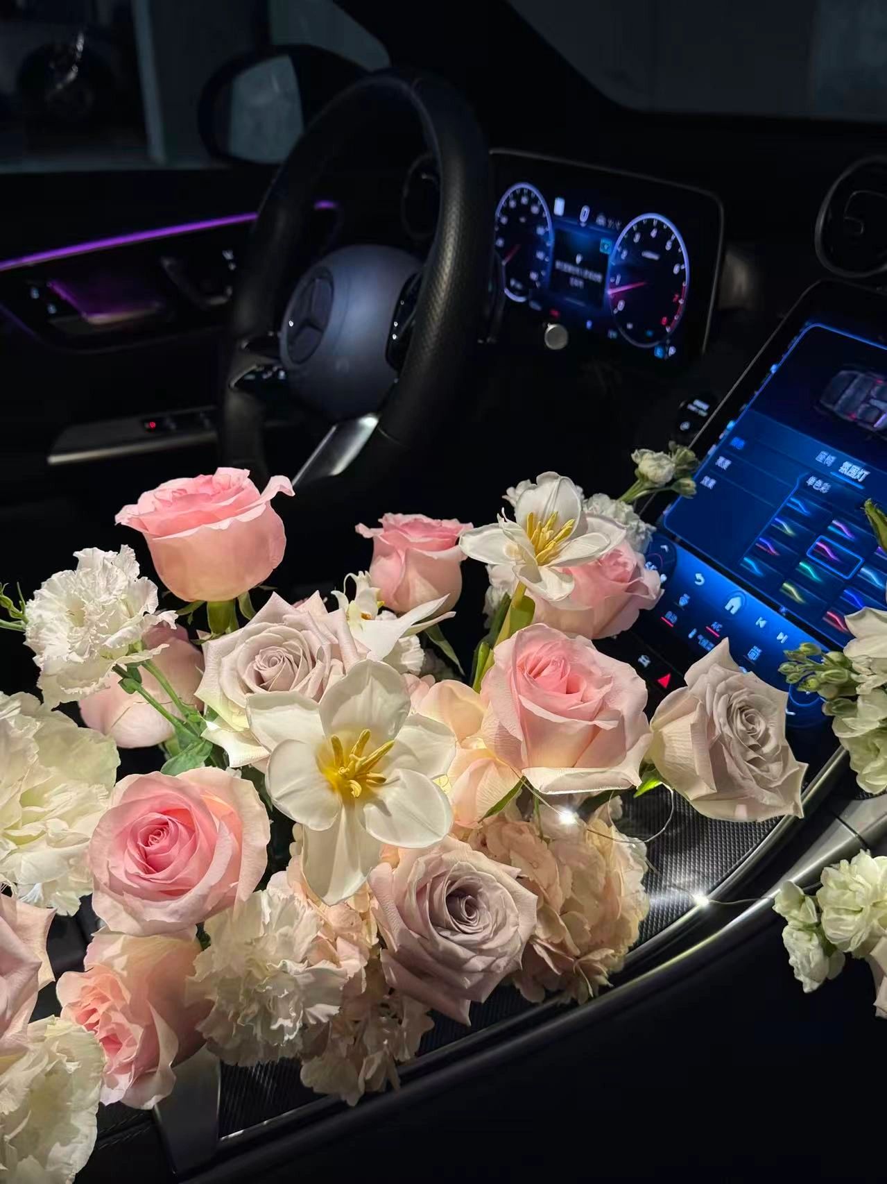 Pink & White Tone Passenger Seat Arrangement