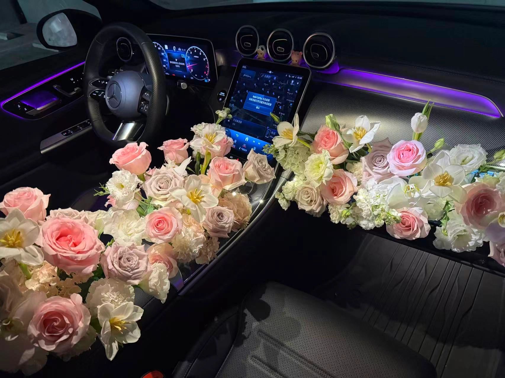 Pink & White Tone Passenger Seat Arrangement