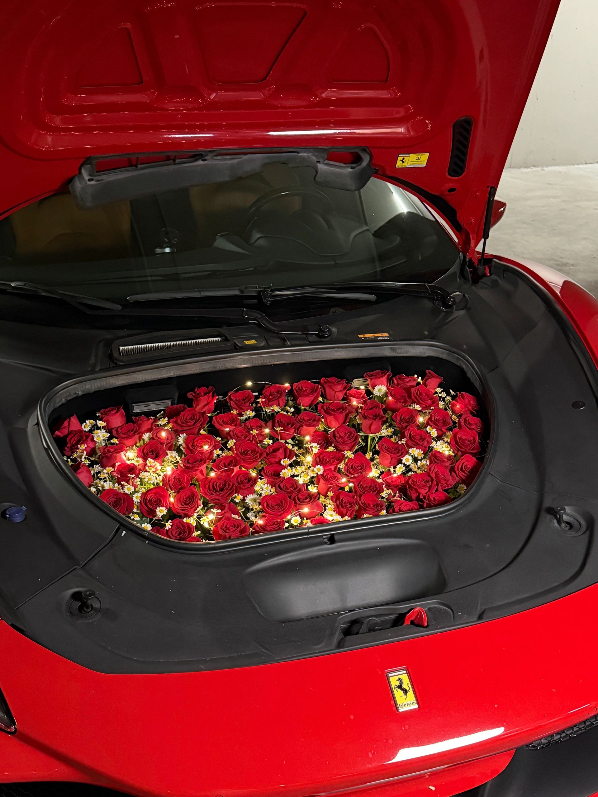 Ecuadorian Red Rose & Daisy Trunk Arrangement