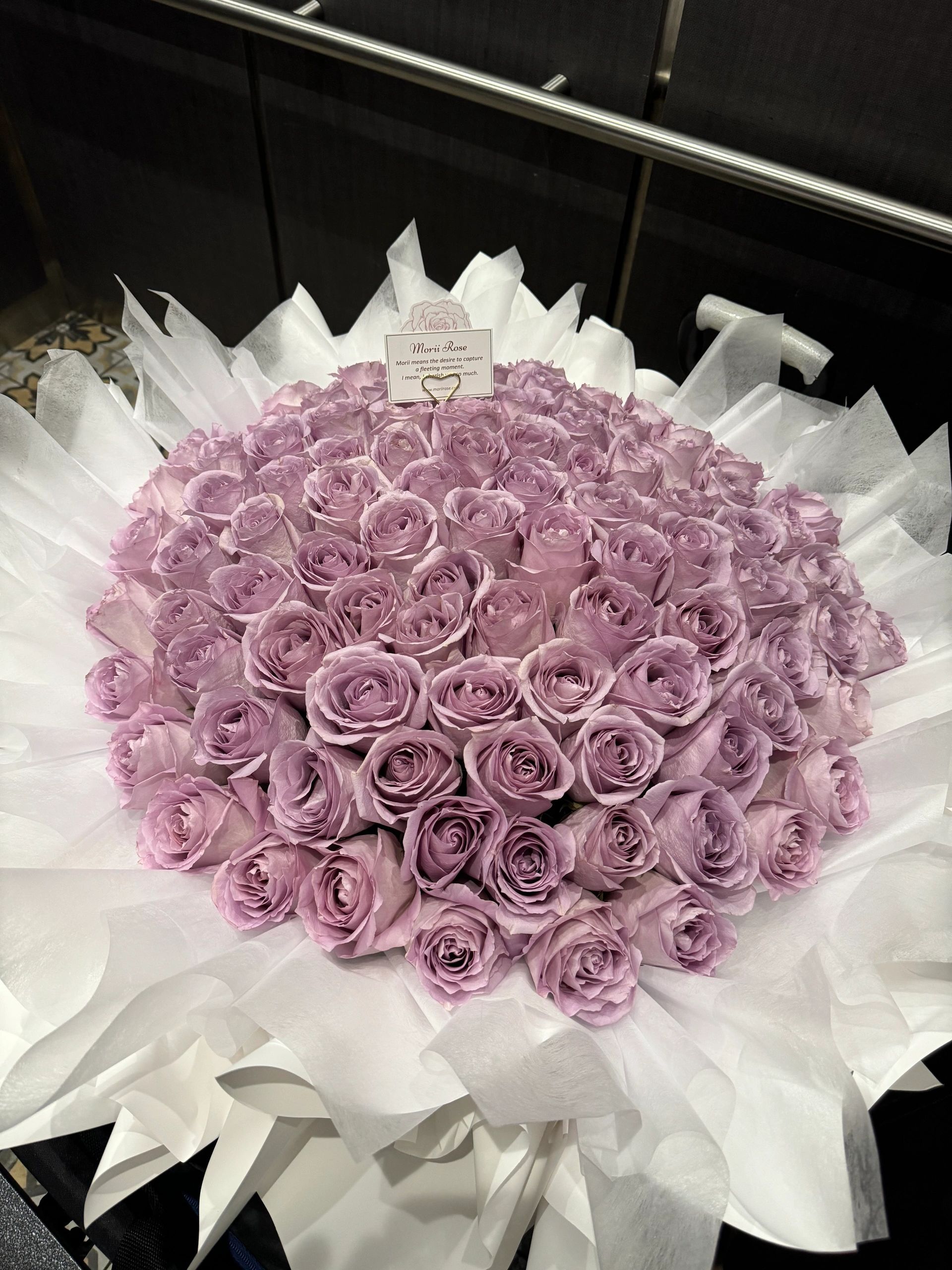 99 Cool Water Roses-White