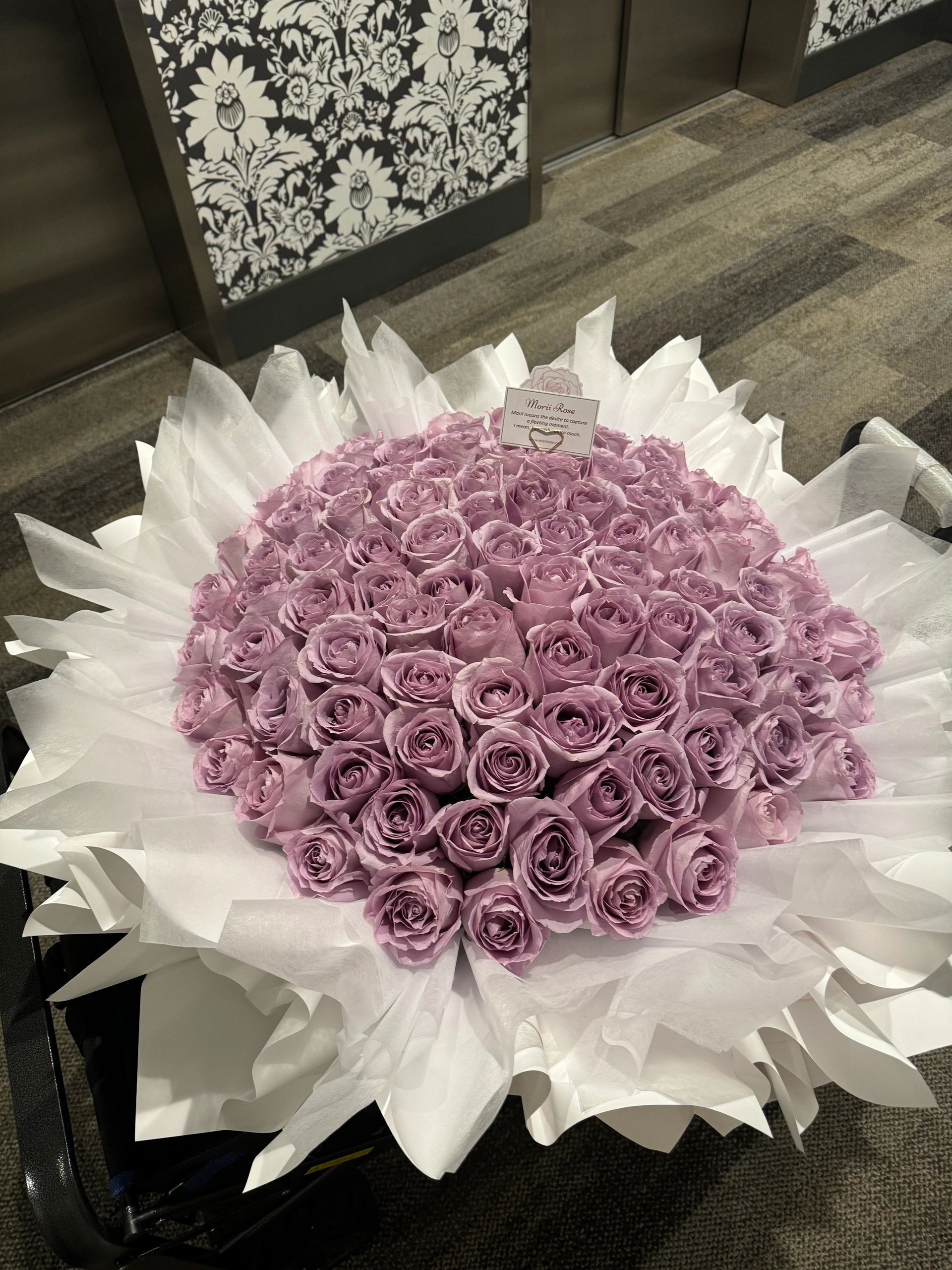 99 Cool Water Roses-White
