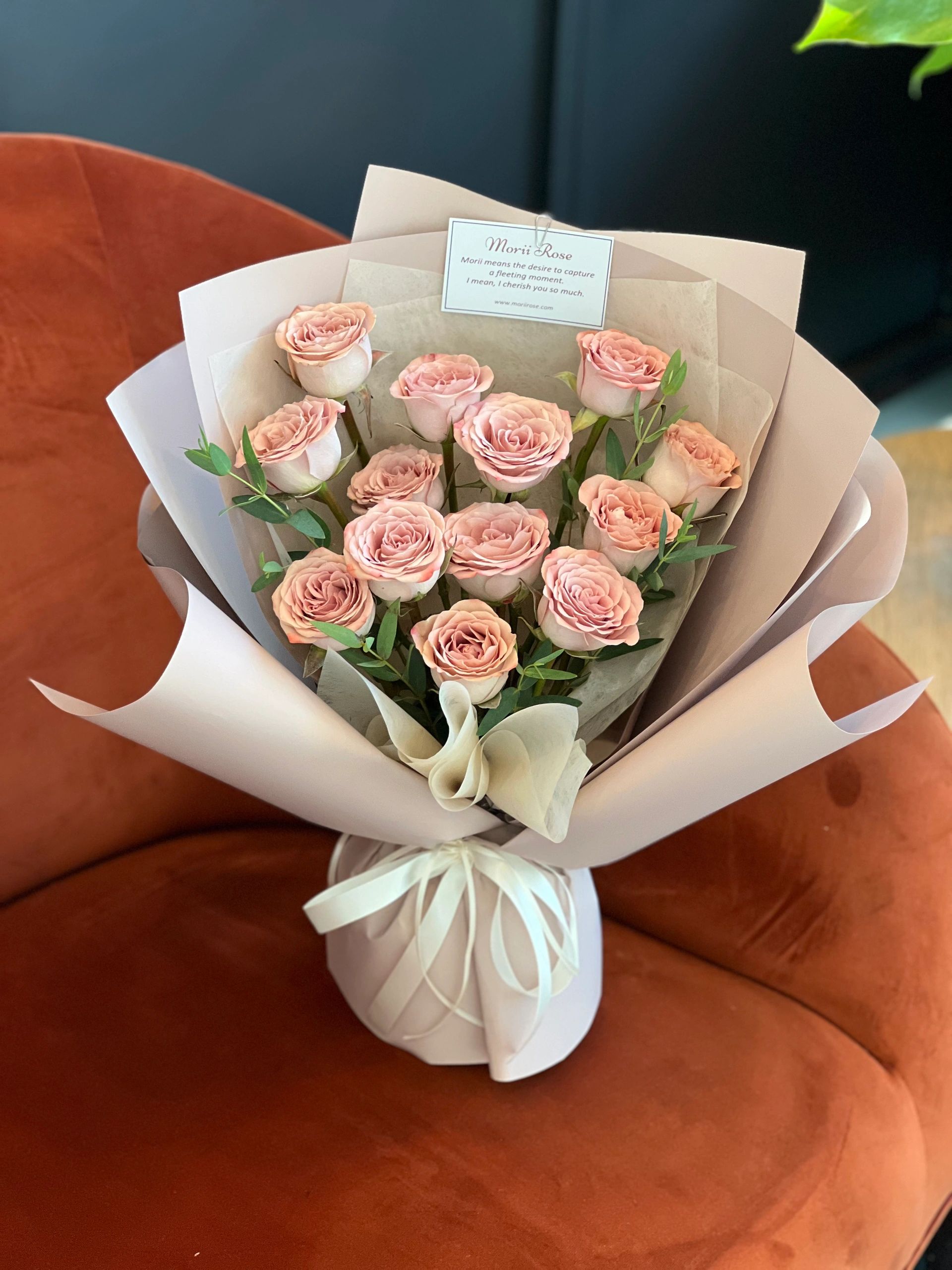13 Cappuccino Rose-pink
