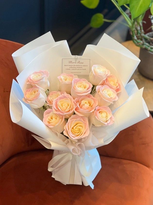 12 pink Rose