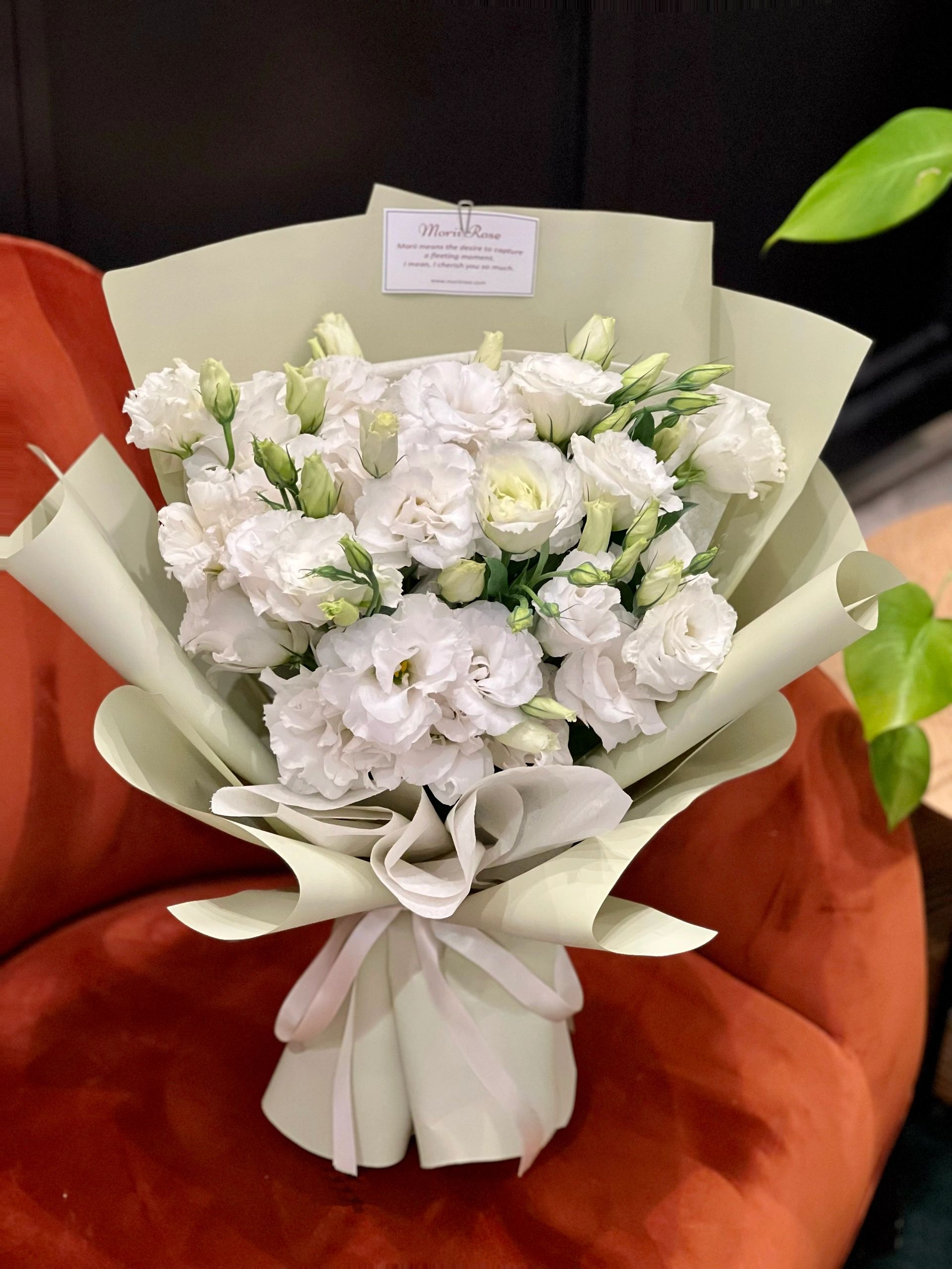 Lisianthus-Avocado