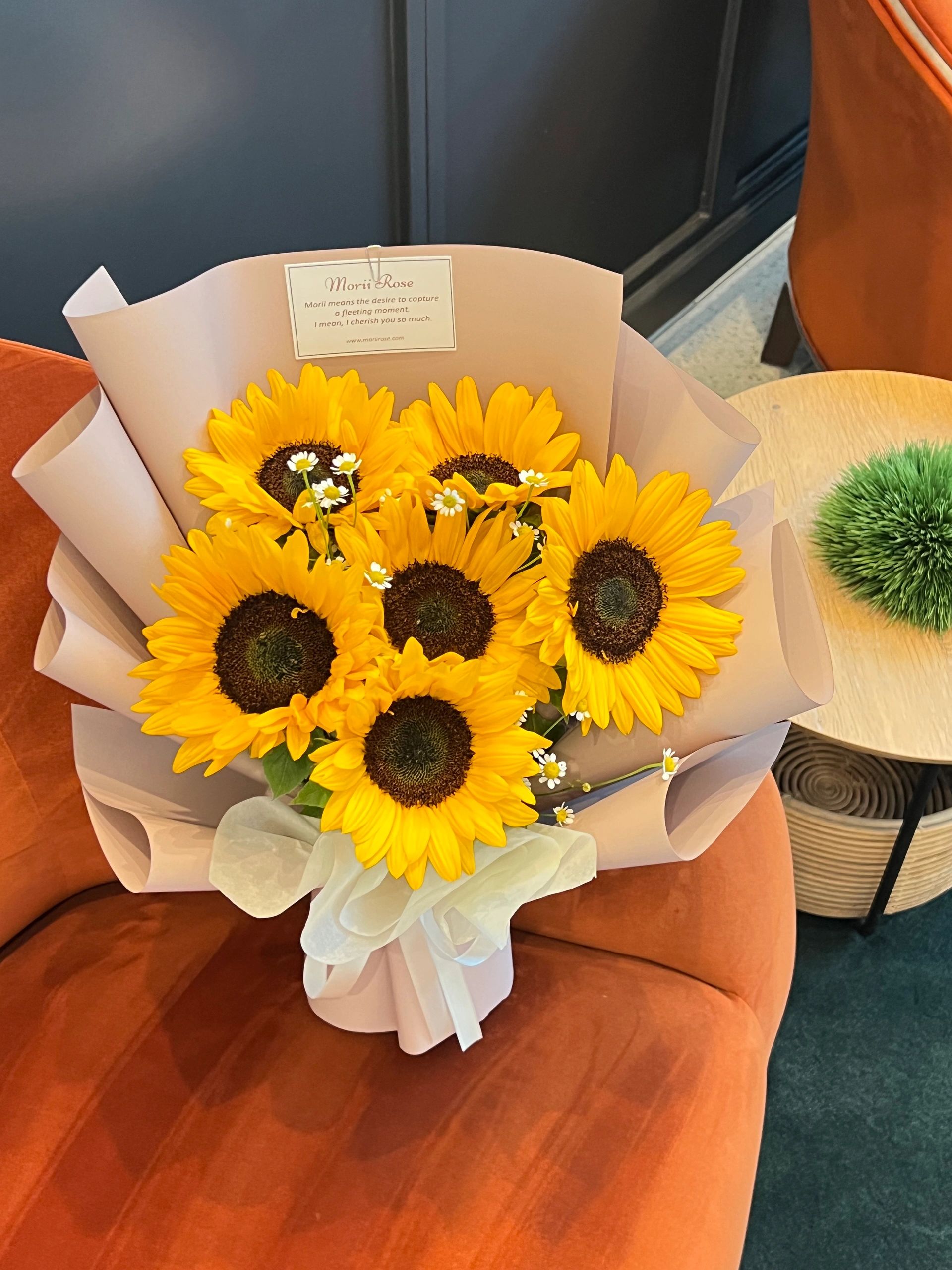 6 Sunflower-white