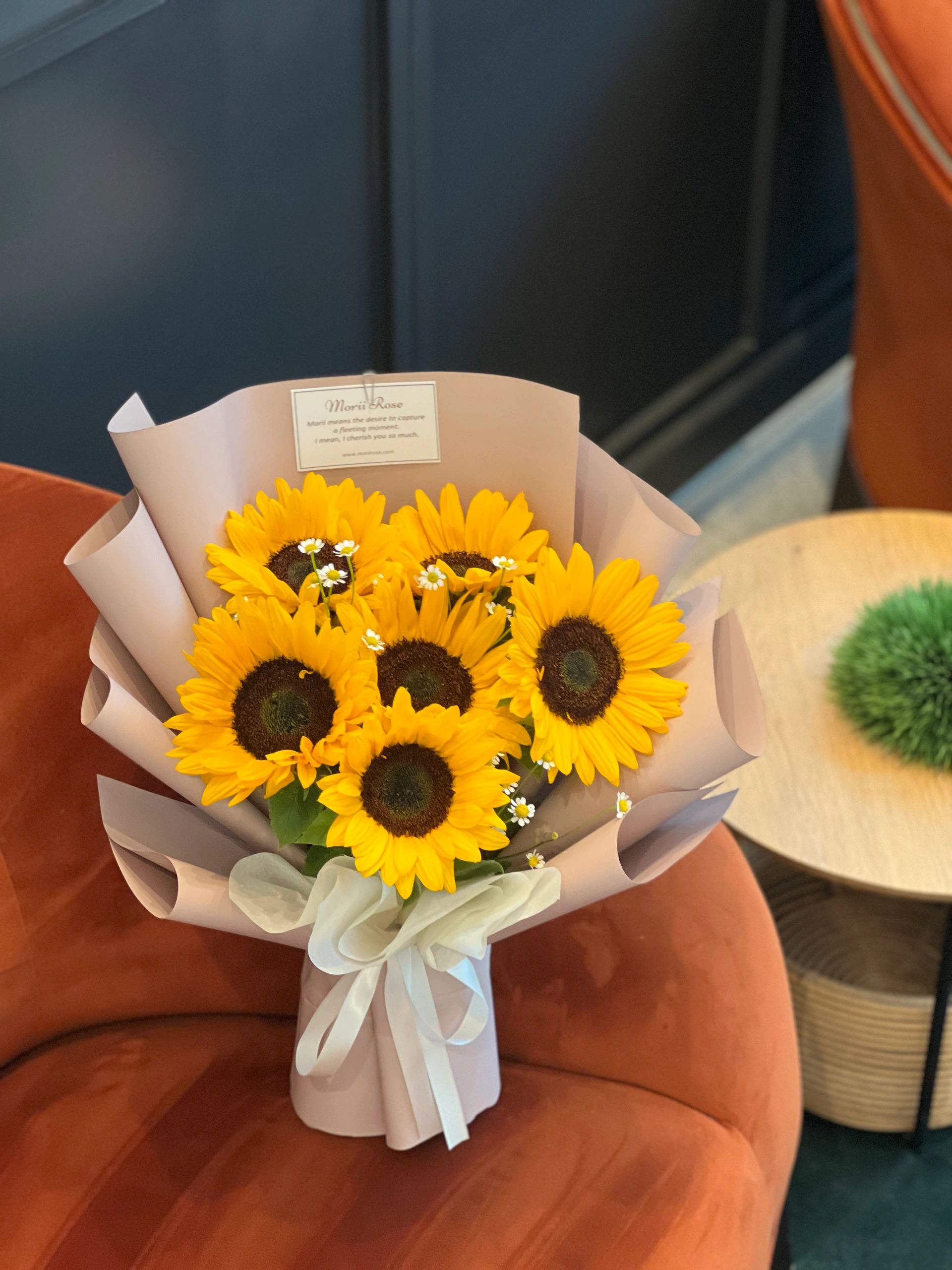 6 Sunflower-white