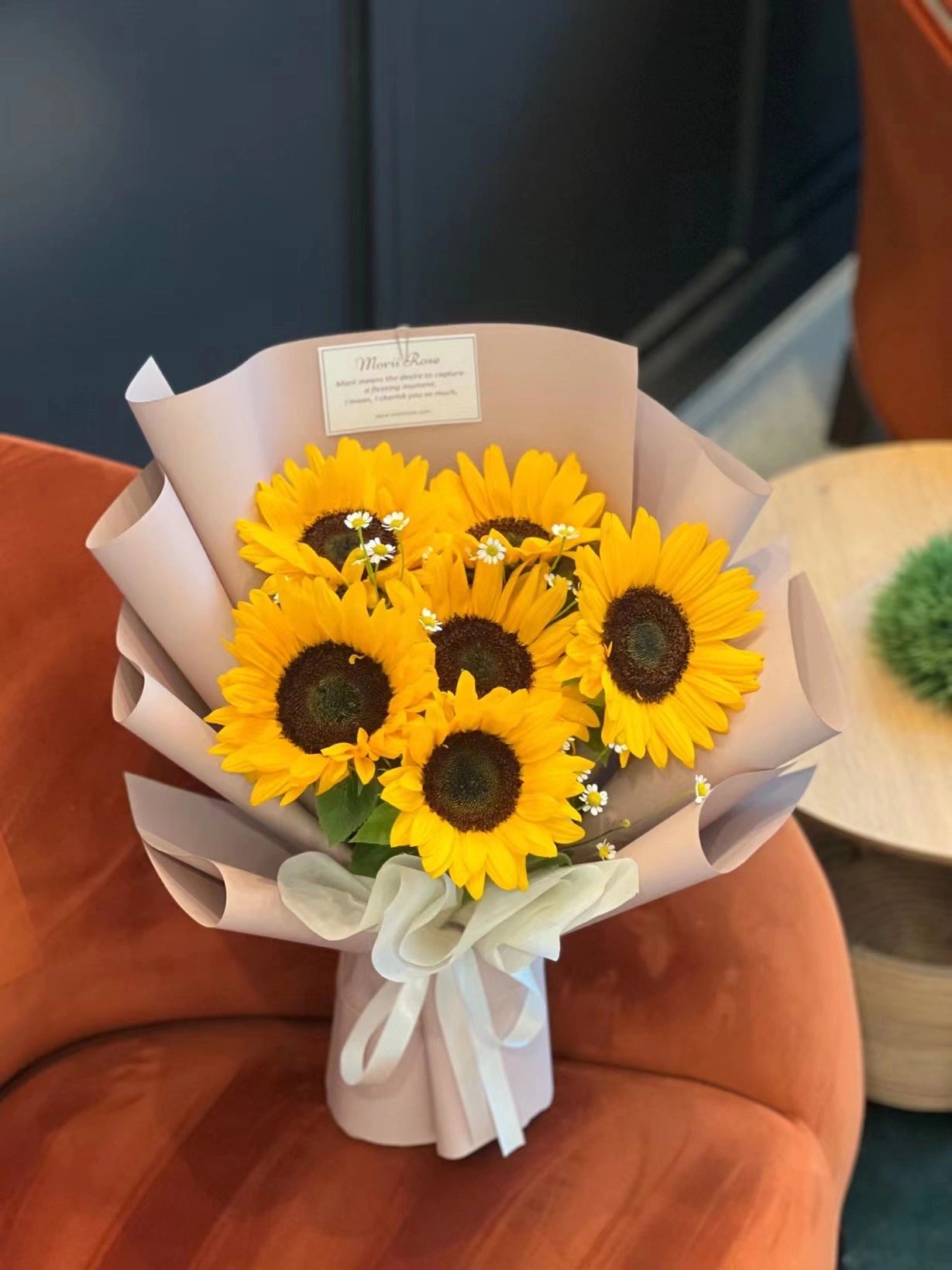6 Sunflower-white