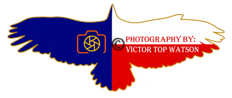 Schertz Photography School & Studio