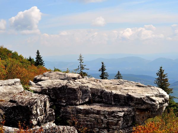 Art gallery davis wv, blackwater falls davis wv, dolly sods,canaan valley, davis wv art gallery