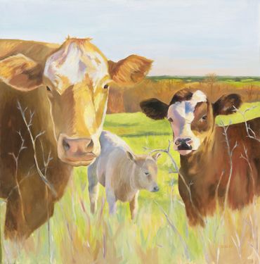 Oil painting entitled "Spring", three cows in field with signs of spring, Kansas, cows staring