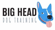 Big Head 
Dog Training
