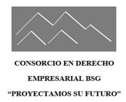 CONSORCIO EN DERECHO EMPRESARIAL BSG, S.A.S. DE C.V.