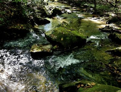 Creekside Rodgers Creek Road @ RCPOA-Ellijay, GA -Gilmer County