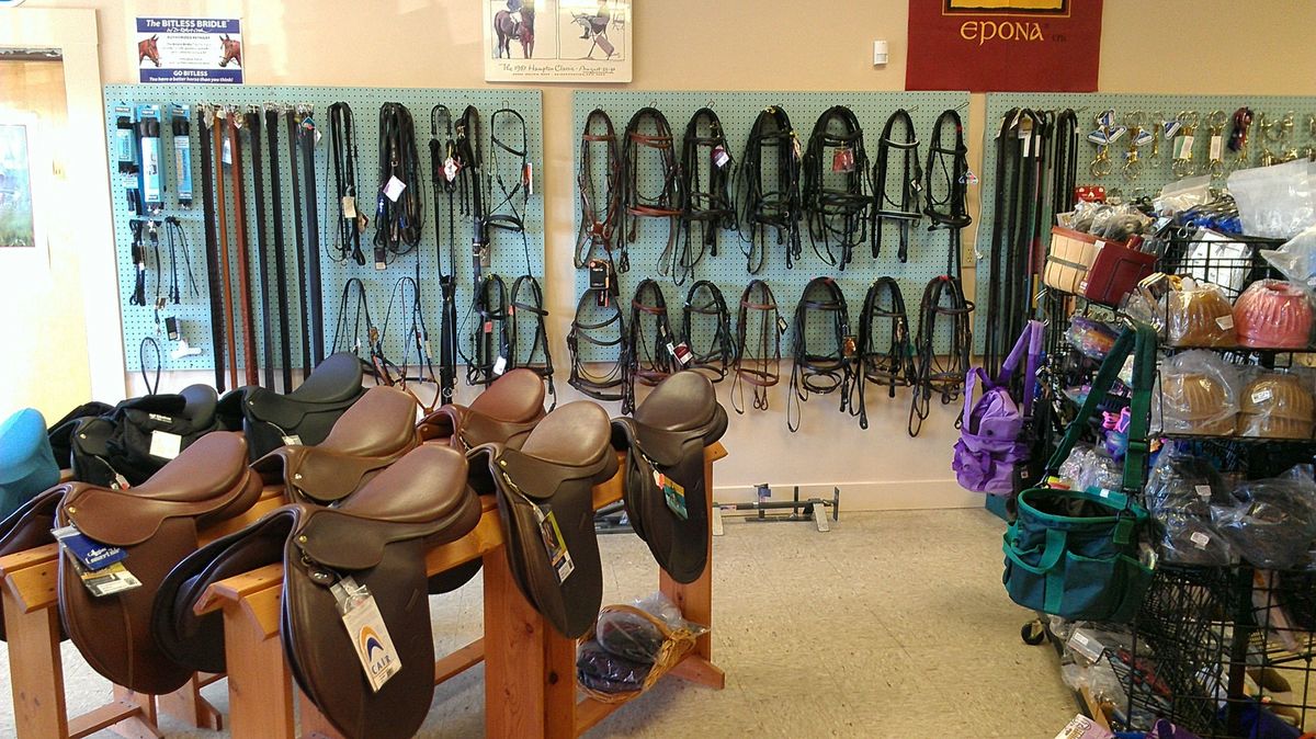 Choosing a Saddle | James Saddlery Australia