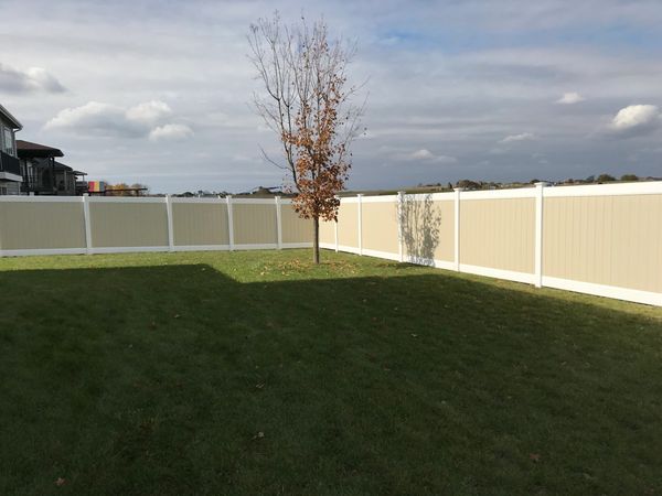 A backyard with a single tree and a beige fence under a cloudy sky.
