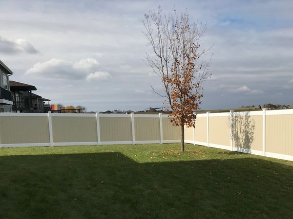A backyard with a single tree and a beige fence under a cloudy sky.