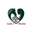 Cody's Destiny, LLC