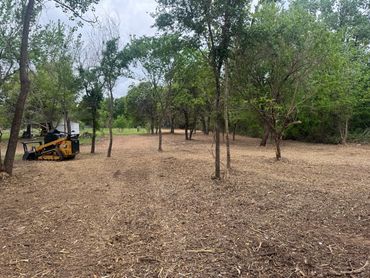 site clearing for more backyard space in Harrah, Oklahoma.