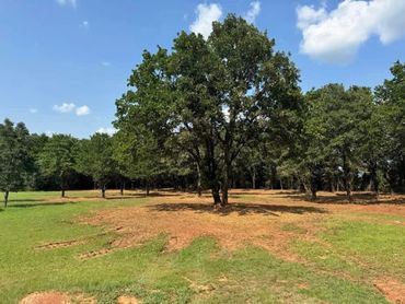 Brush clearing under beautiful trees in a backyard in Arcadia, Oklahoma.
