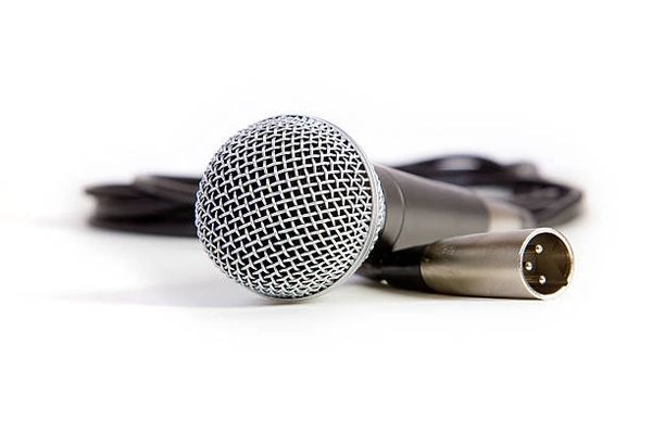 Silver microphone with XLR connector.