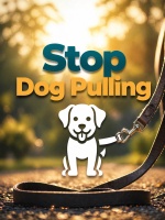 stopdogpulling.com