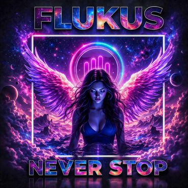 Flukus - Never Stop cover art