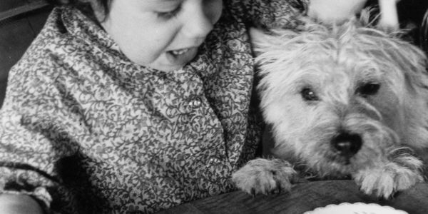 Little girl (me) with a Cairn Terrier (Twinkles)