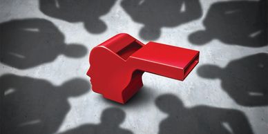 Wrongful Termination Discrimination Retaliation Employment Law Lawyer Attorney