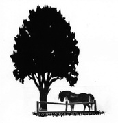 Golden Oaks Hobby Farm
