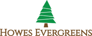 Howes Evergreens