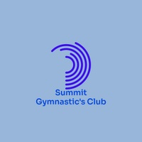 summitgymnastics.co.uk