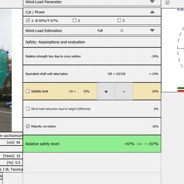 Data from my Arbotom assessments can be entered into my ArboStApp tree safety software to determine 