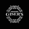 gisers.com.mx