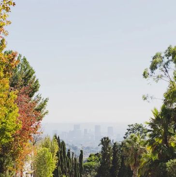 Picture of Downtown LA from far way